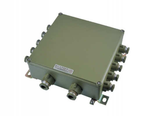 2021 China New Design Explosion Proof Products - eJX series Explosion proof connection box – Feice detail pictures